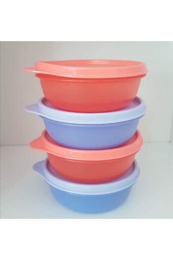 Tupperware 4 Pieces of 300 Ml Şekerkap.