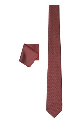 ALTINYILDIZ CLASSICS Men's Burgundy Nano Tie-Handkerchief Set