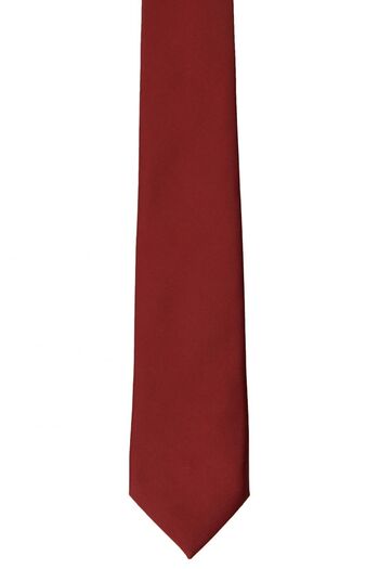 ALTINYILDIZ CLASSICS Men's Burgundy Claret Red Classic Waterproof Nano Tie