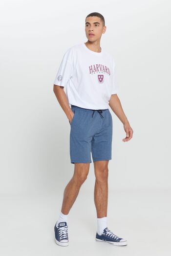 AC&Co / Altınyıldız Classics Men's Indigo Melange Standard Fit Regular Cut Cotton Comfortable Knitted Shorts