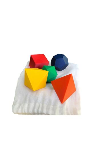 Root Made Platonic Bodies Speaking Nature Bodies Motor Skill Educational Set Platonic Solids