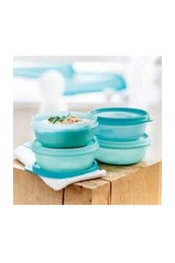 Tupperware Candy Containers 4 Pieces
