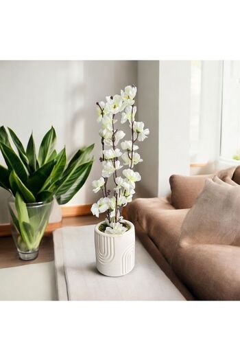 Trend KenT Beton Saksıda Gerçek Taş Yosunlu Yapay Japon Kiraz Çiçeği,Saksı ,Aranjman , Ev dekorasyon,