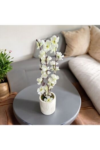 Trend KenT Beton Saksıda Gerçek Taş Yosunlu Yapay Japon Kiraz Çiçeği,Saksı ,Aranjman , Ev dekorasyon,