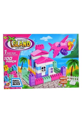 Sole 100 Piece Airplane and House Block Set