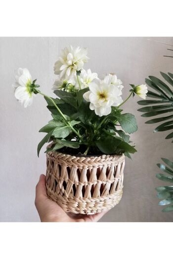 afralya home Wicker Handmade Mini Flower Pot 14 Cm Diameter