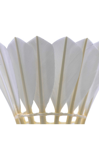 Helix TBF Set of 12 Badminton Balls