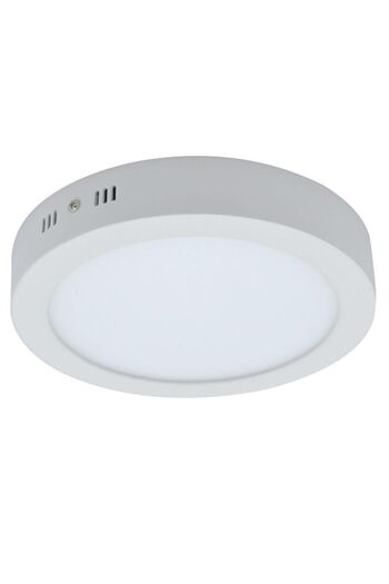 Pinky 18 Watt Surface Mounted Round Led Panel Luminaire White Light