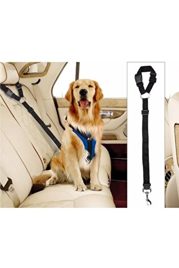 BYPET Dog Seat Belt and Travel Collar - Compatible with All Vehicles - Dog Car Travel Belt