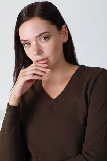 Ferraro Women's Brown V-Neck Knitwear Sweater