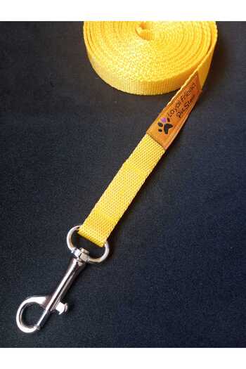 Loyal Friend Store köpek sevk kayışı (gezdirme) 3 metre sarı