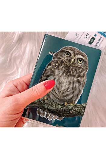 Cekuonline Transparent PVC Passport Cover with Owl Pocket and Print - All Country Compatible