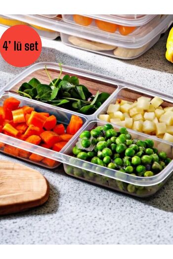Bayev 4 Pieces 400 ml Frozen Food Meat and Vegetable Storage Container - Mince Chicken Icebox Organizer