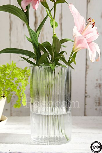 Paşabahçe Set of 4 Optical Patterned Borosilicate - 10cm Cap, 10'-15-20-25Cm Size