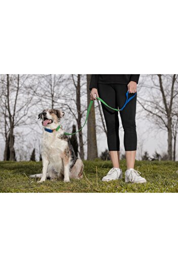 GoPawGo Charmed Jewel - Dog Collar and Walking Strap Set