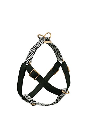 GoPawGo Charmed Shadow Dog Collar