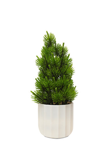 HOMİNG Homing Yapay Çam Ağacı Beyaz Saksılı 28 cm