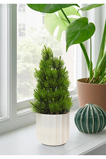 HOMİNG Homing Yapay Çam Ağacı Beyaz Saksılı 28 cm
