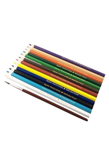 Bigpoint 12 Colors Watercolor Pen and Brush Set