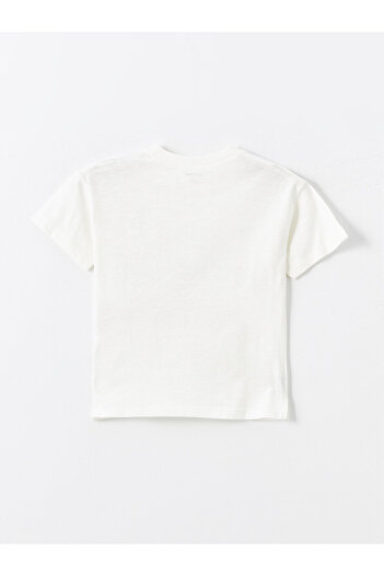 LC Waikiki LCW Baby Boy T-Shirt - Crew Neck, Short Sleeve, Printed