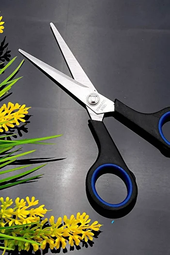 YDGR Small Scissors with Plastic Handle