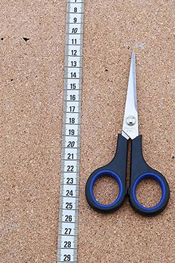 YDGR Small Scissors with Plastic Handle