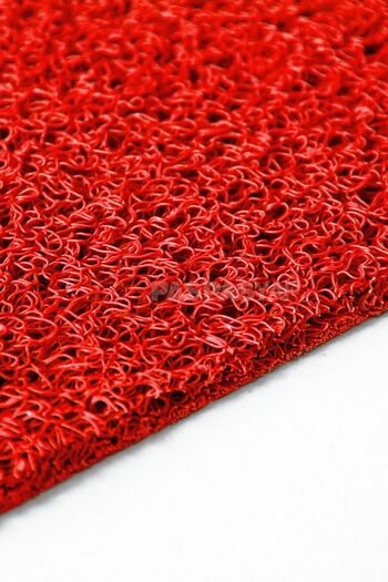 Paspas Yap Water Absorbent Outdoor Door Mat - Curly Mat for Work Places, Apartments, Gardens, Offices