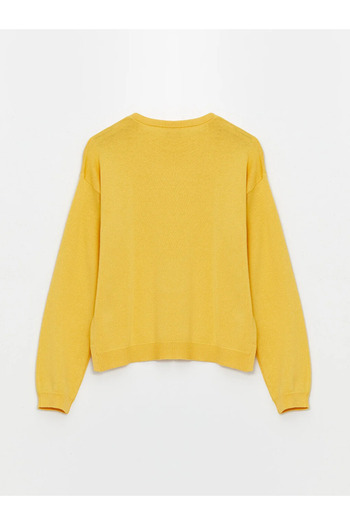 LC Waikiki LCW Kids Girl's Knit Sweater - Crew Neck, Long Sleeve
