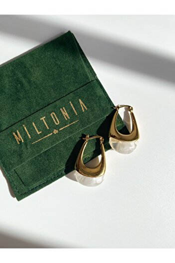 Miltonia Gold Colored Steel Earrings