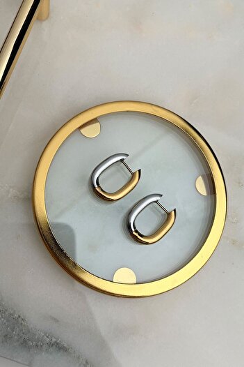 Modex Steel Two-Color Oval Earrings (2cm)
