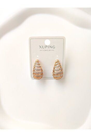 Evorya Women's Steel Zircon Stone Model Earrings