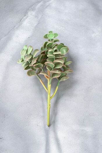 YAPAY ÇİÇEKÇİNİZ Real Textured Artificial Cactus Succulent