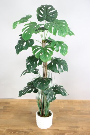 Yapay Çiçek Deposu Yapay Monstera Ağacı 105 Cm Krem Saksılı