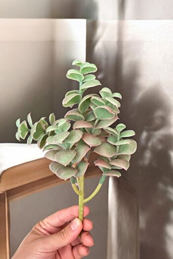 YAPAY ÇİÇEKÇİNİZ Real Textured Artificial Cactus Succulent