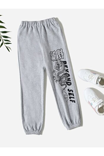 Mythologie Dragon Beyond Self Sweatpants Jogger - Gray Printed Elastic Leg High Waist