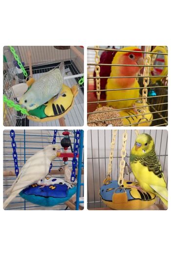Kuşarkadaşım Budgie Round Bagel Swing Double Sided Swing Toy Yellow Blue