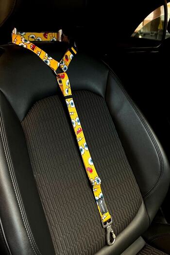 Wikipet Bob In-Car Dog Travel Collar