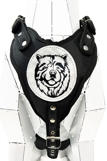 Tasma Market Chow Chow Chinese Lion Black Dog - Chest and Waist Collar