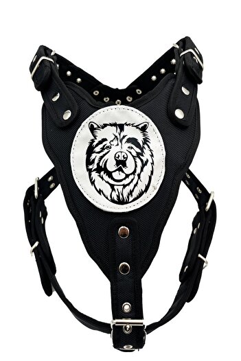 Tasma Market Chow Chow Chinese Lion Black Dog - Chest and Waist Collar
