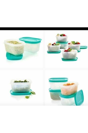 Tupperware Alaska Series Deep Freezer Storage Container