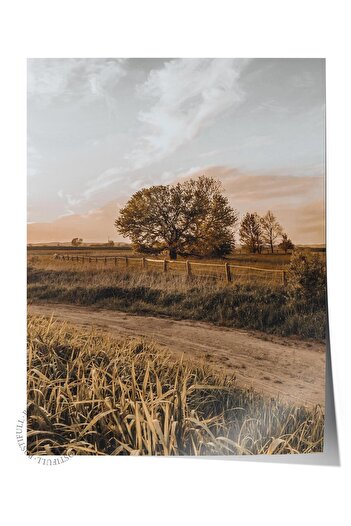 Postifull Rustic Unframed Poster, Scandinavian Brown Painting, No:16 Trees in the Field Photo, Vertical