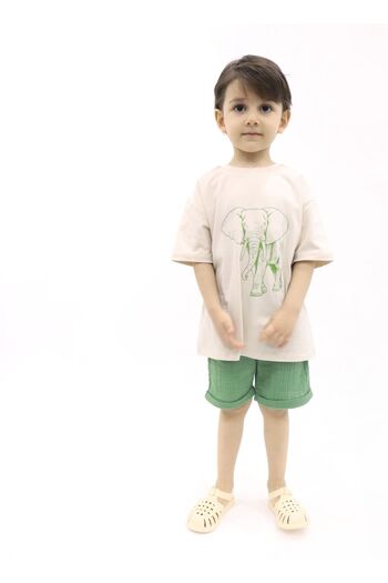 BALKABAĞI Elephant Stone Color T-shirt Green Muslin Shorts Set TYE0031