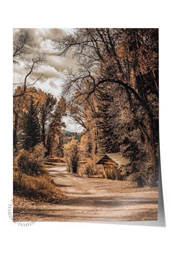 Postifull Rustic Unframed Poster, Scandinavian Brown Painting, No:17 Forest Road Photo, Vertical