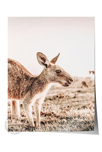 Postifull Rustic Unframed Poster, Scandinavian Brown Painting, No:95 Deer Photo, Vertical