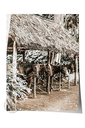 Postifull Rustic Unframed Poster, Scandinavian Brown Painting, No:134 Wooden Hut and Plants Photo, Upright