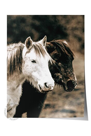 Postifull Rustic Unframed Poster, Scandinavian Brown Painting, No:65 White Horse Photo, Vertical