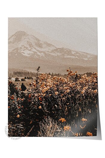 Postifull Rustic Unframed Poster, Scandinavian Brown Painting, No:32 Mountain and Flowers Photo, Vertical