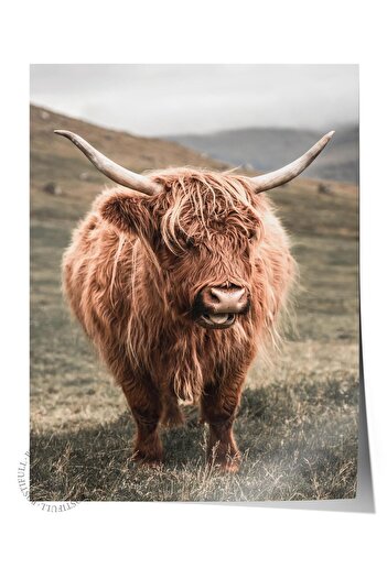 Postifull Rustic Unframed Poster, Scandinavian Brown Painting, No:64 Photo of Cow in the Distance, Vertical