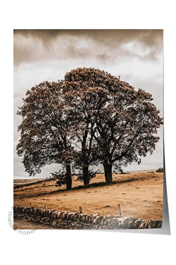 Postifull Rustic Unframed Poster, Scandinavian Brown Painting, No:127 Tree and Field Photo, Vertical