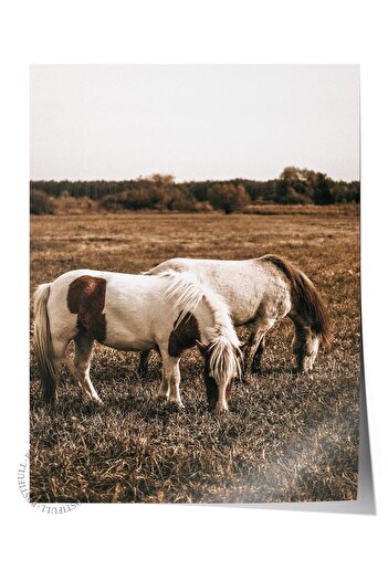 Postifull Rustic Unframed Poster, Scandinavian Brown Painting, No:139 Grazing Horses Photo, Vertical